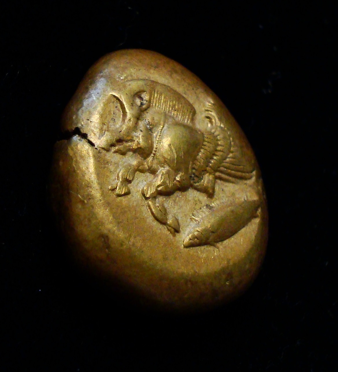 Pigasus obverse_1.jpg