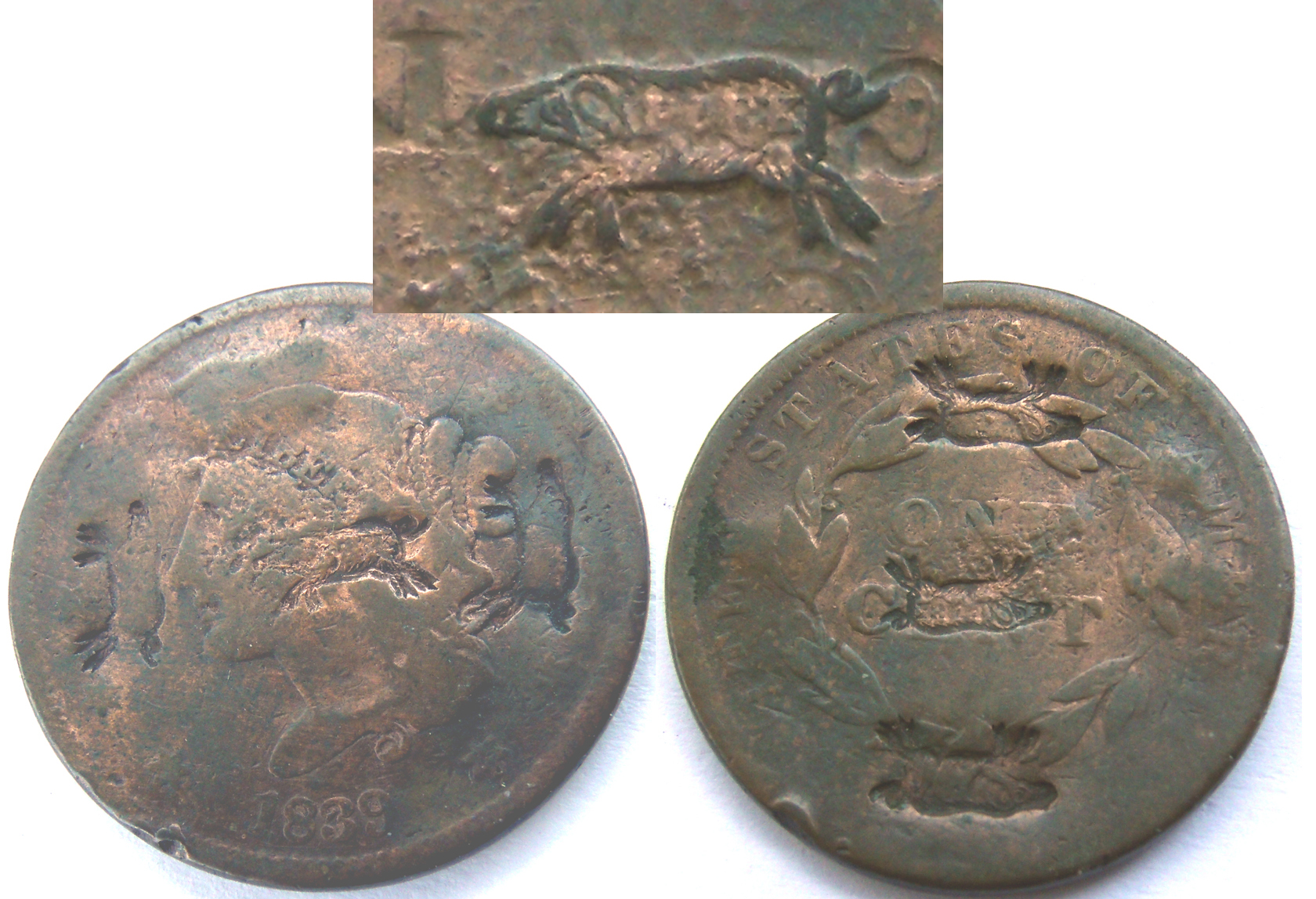 pigcent-cointalk.jpg