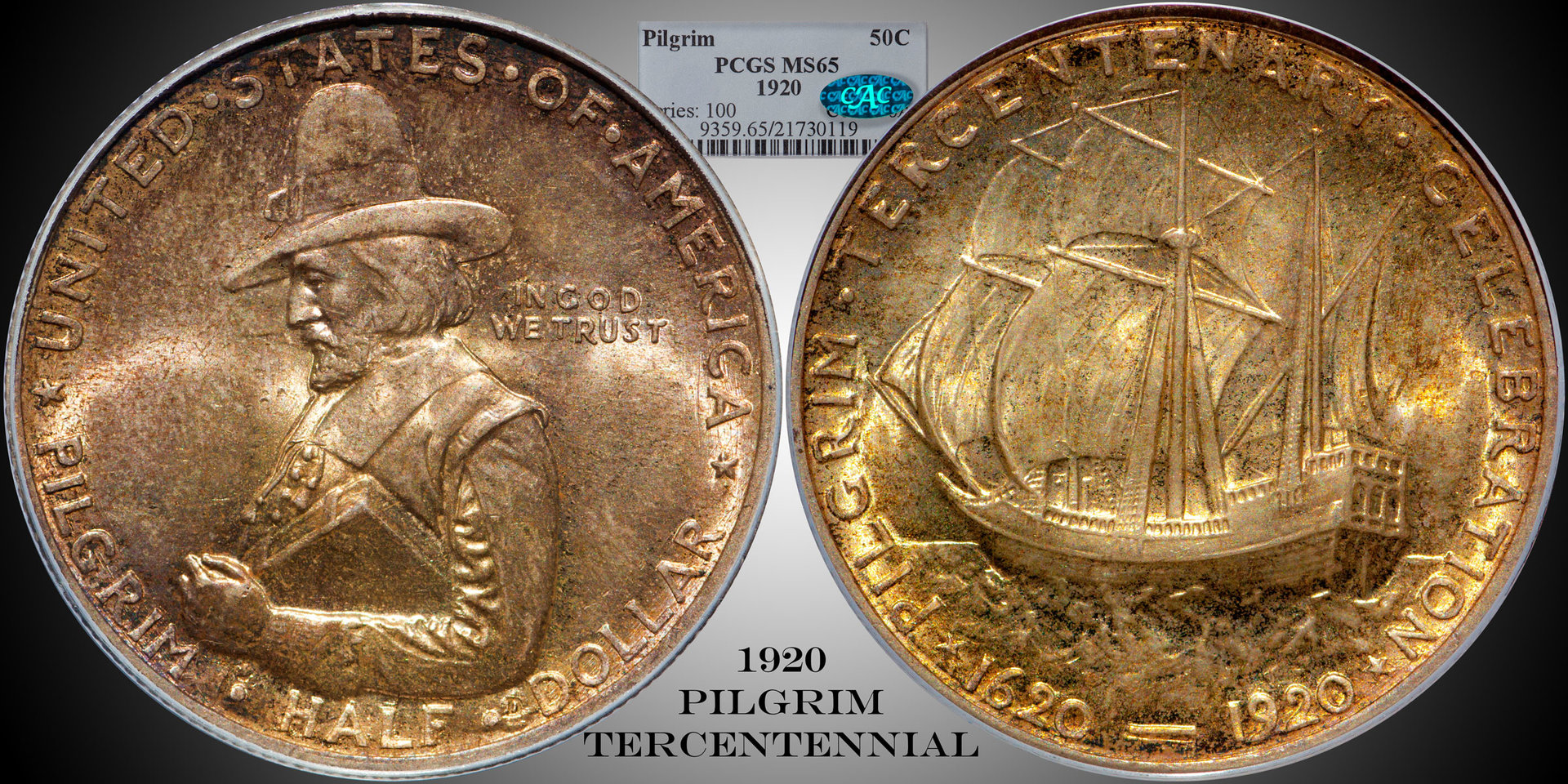 pilgrim65-web-display.jpg