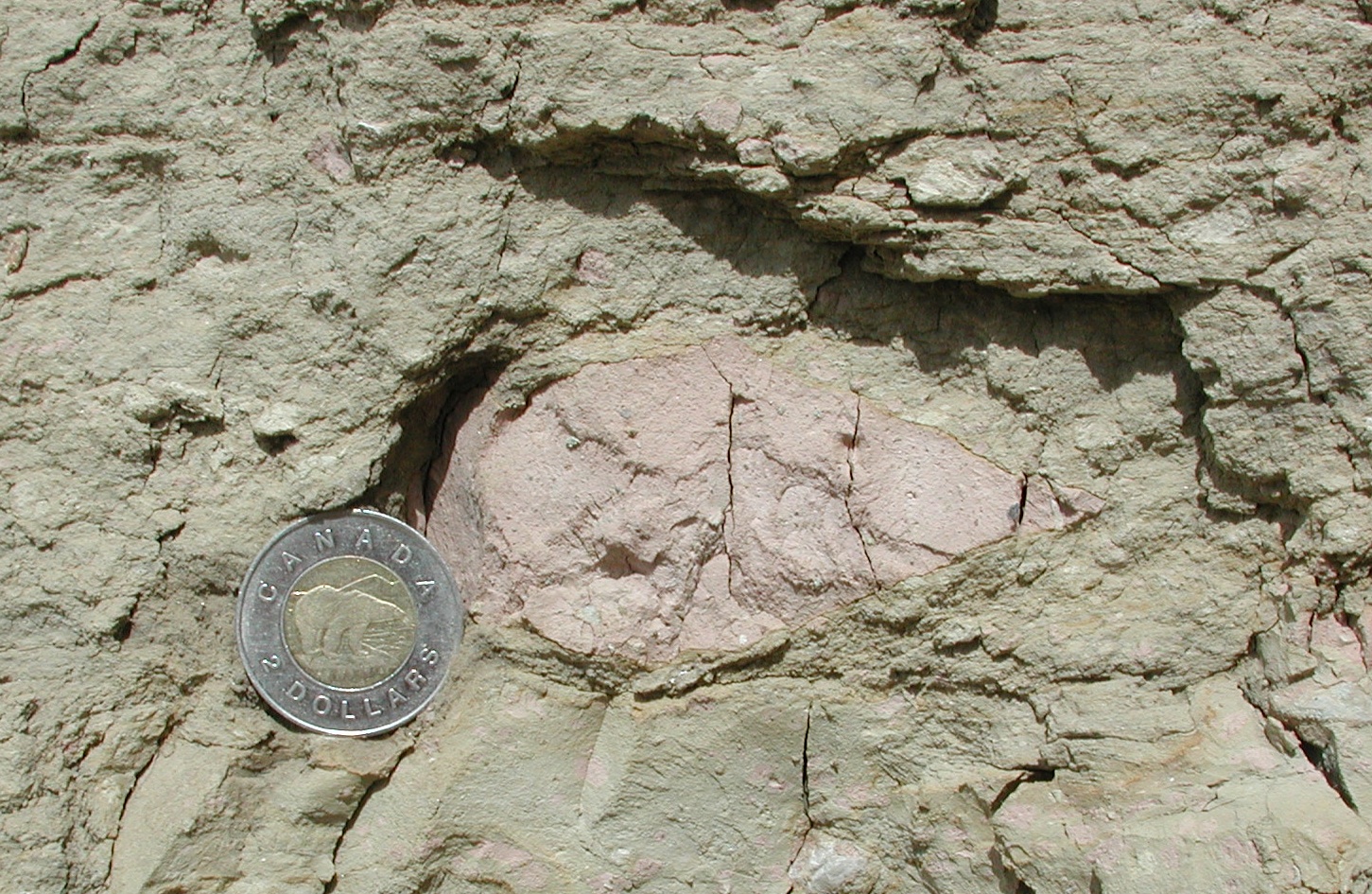 pink_diamict_dropstone.jpg