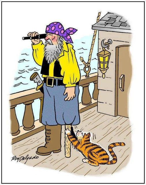 Pirate.jpg