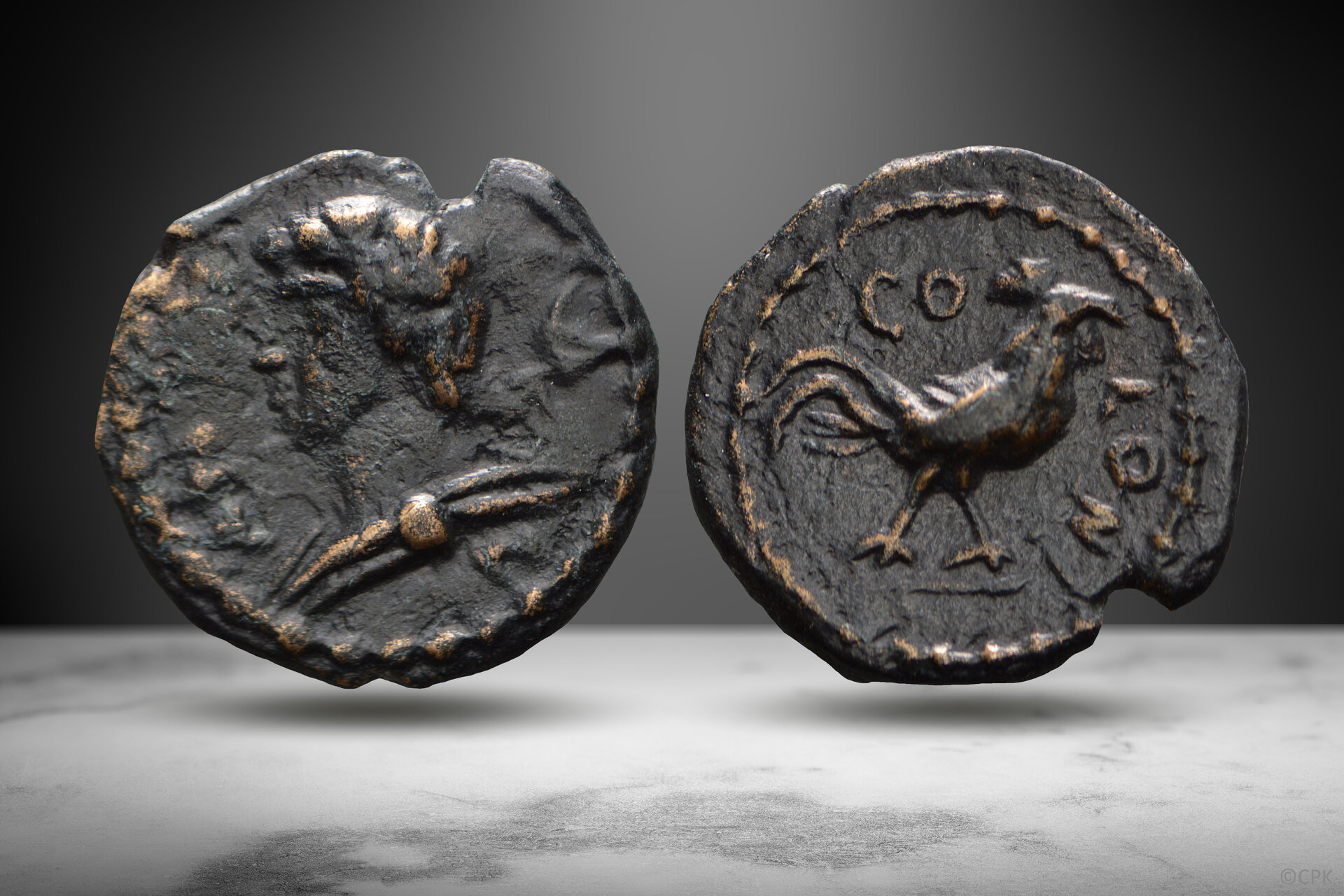 Pisidia Antioch AE rooster.jpg