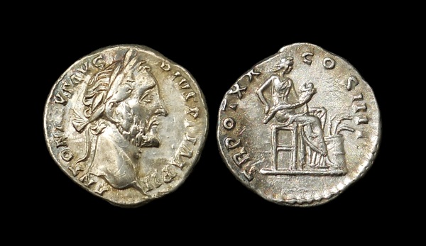 pius 6.jpg