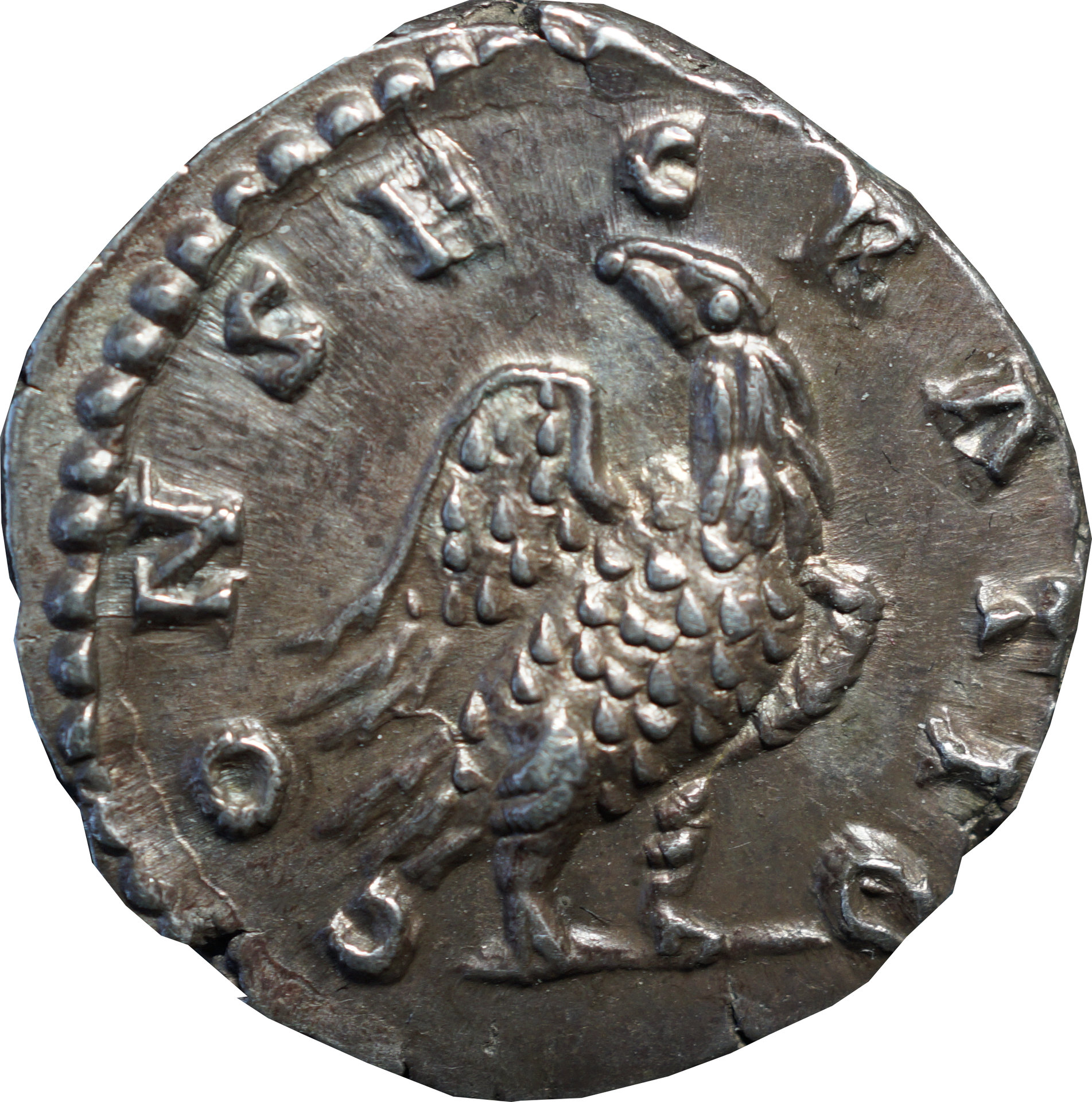 pius02.jpg