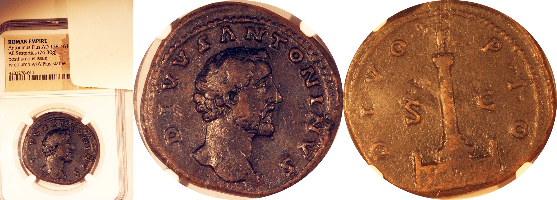 pius1-horz.jpg