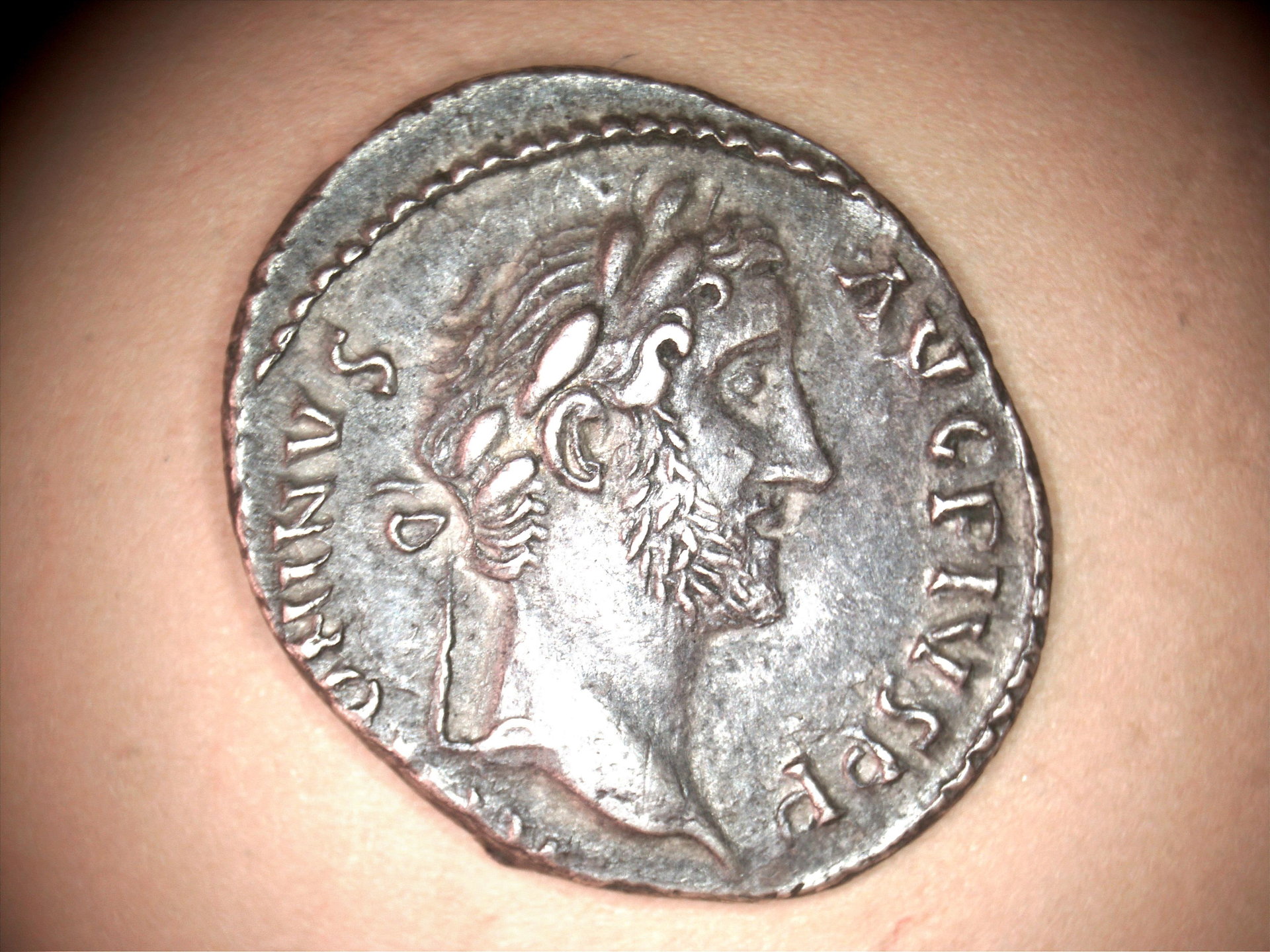 Pius1.jpg