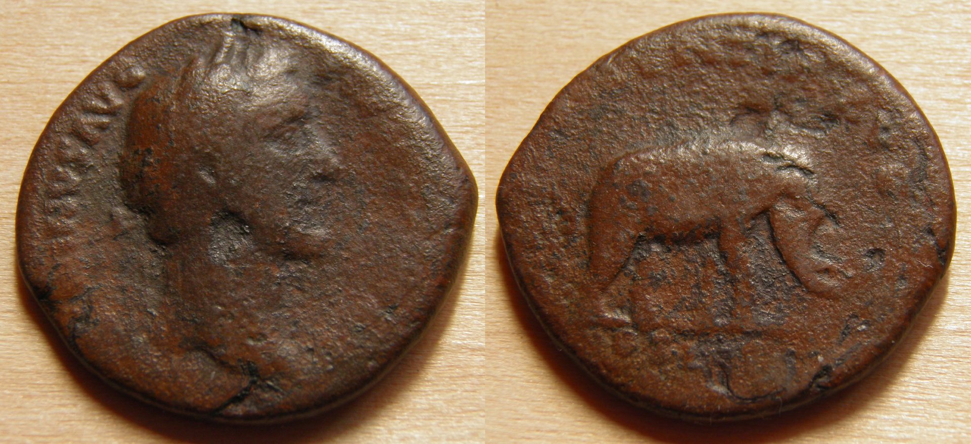 pius2.jpg