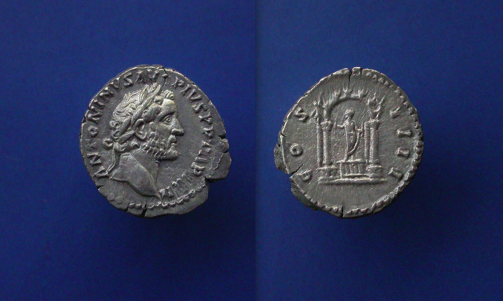 piusd19.jpg