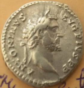 Piusdenarius1.jpg