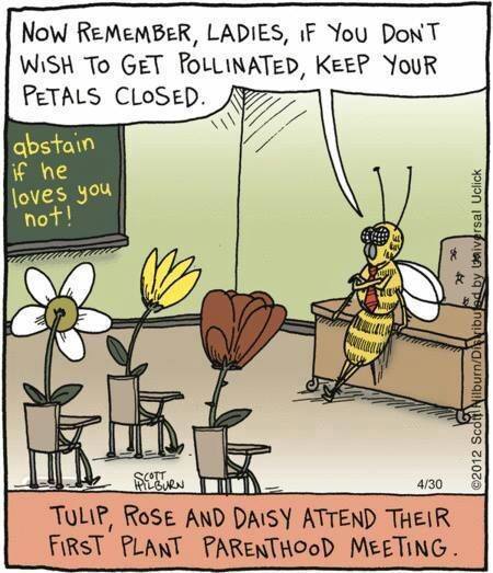 Plant-parenthood-meeting-cartoon.jpg