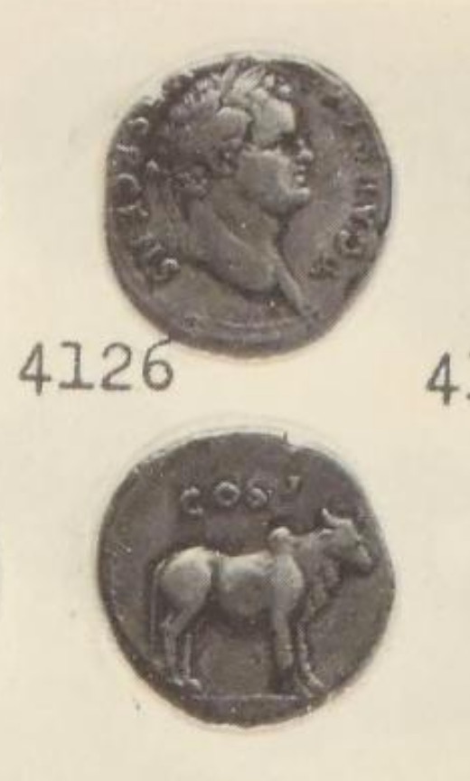 Plate image.jpg