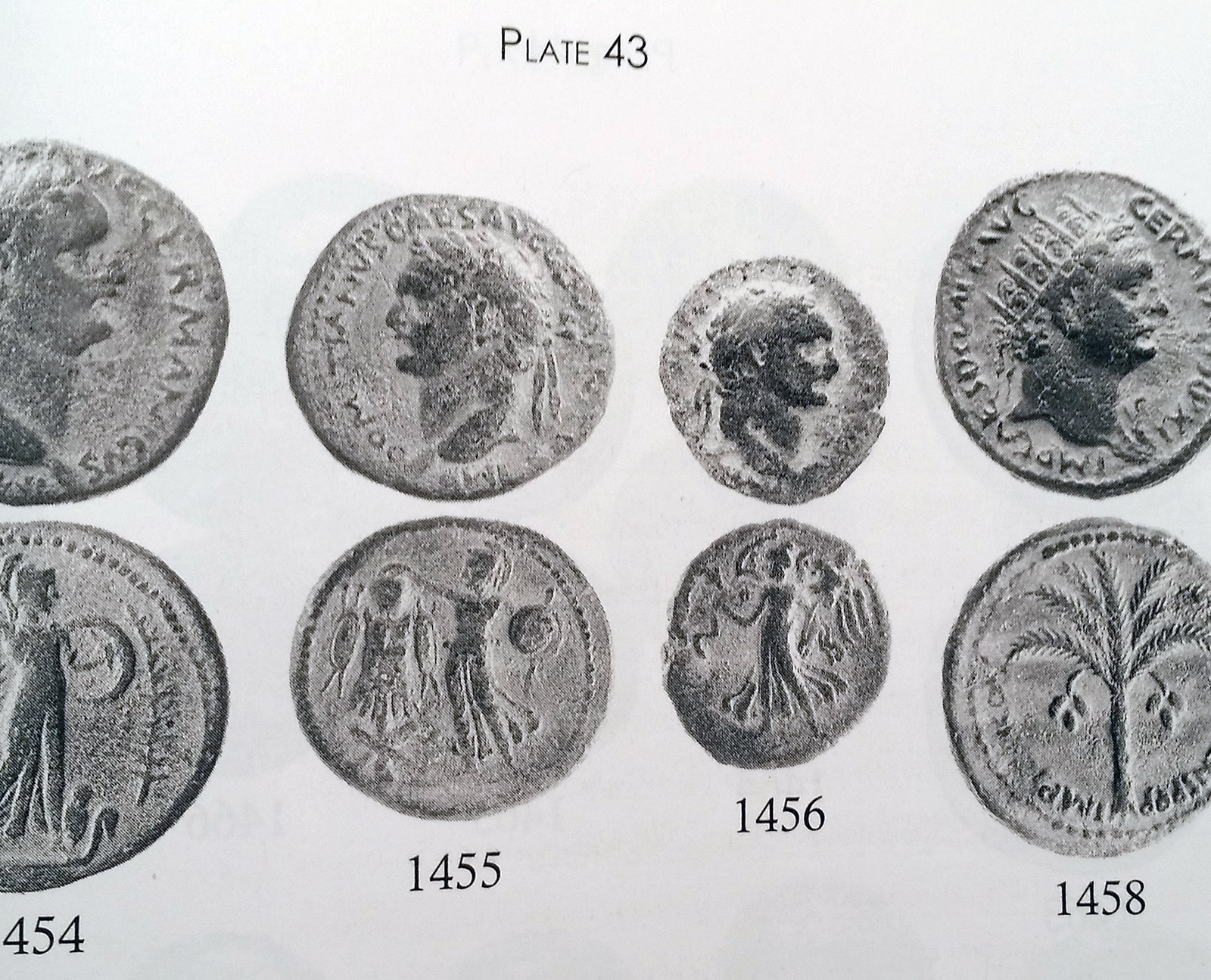 plate.jpg