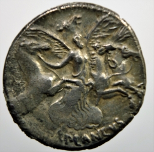Plautia 4 horses.jpg
