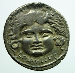 Plautia medusa.jpg