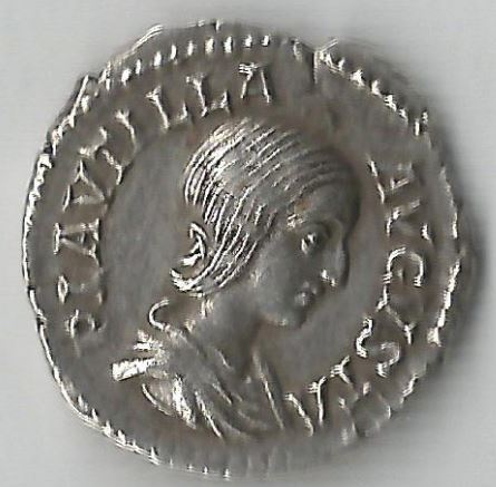 Plautil O.JPG