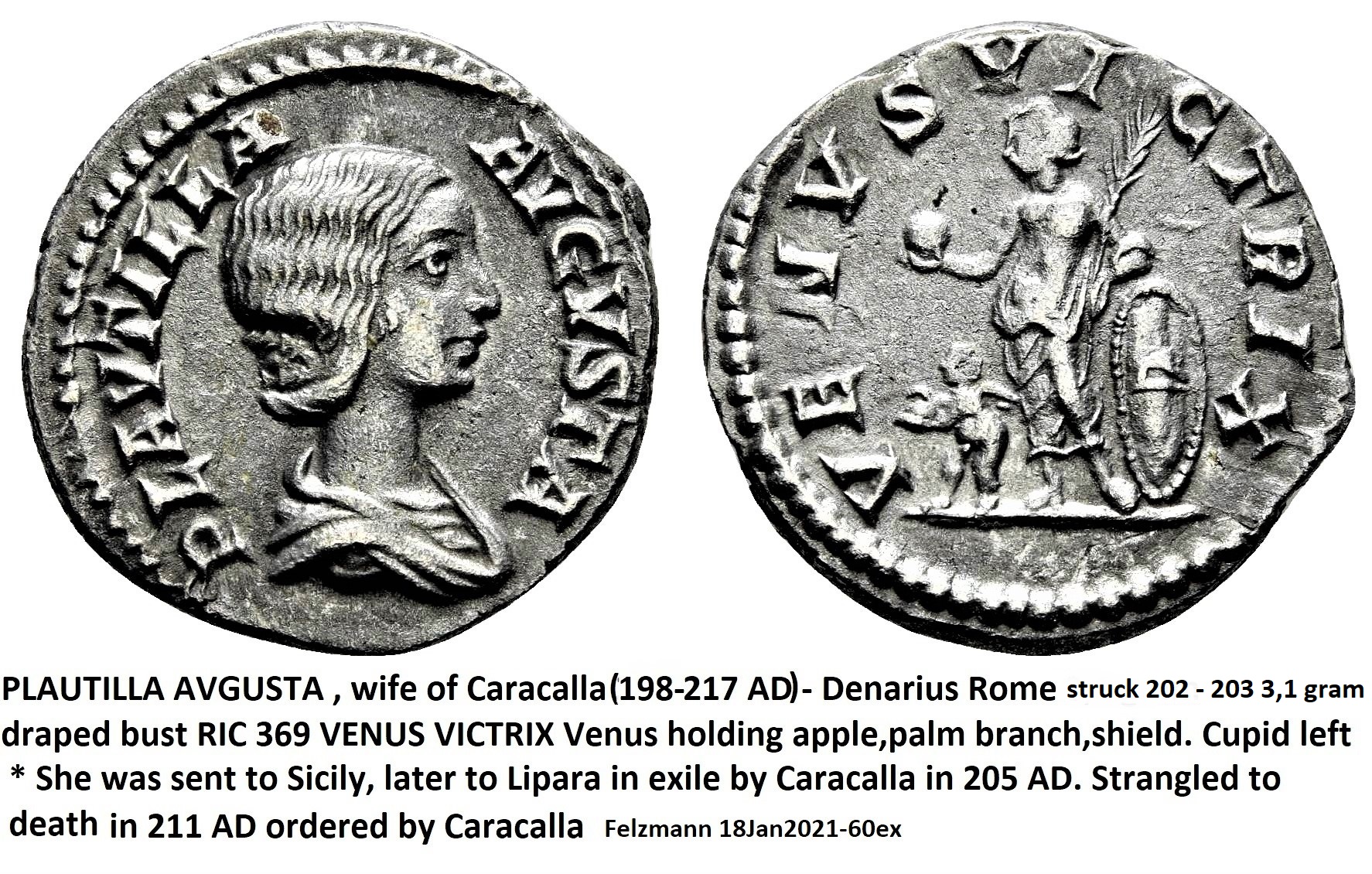 Plautilla (2).jpg