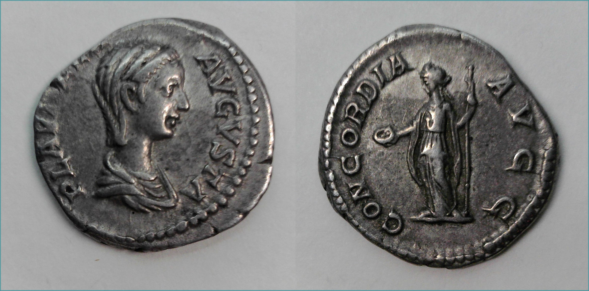Plautilla Concordia.jpg