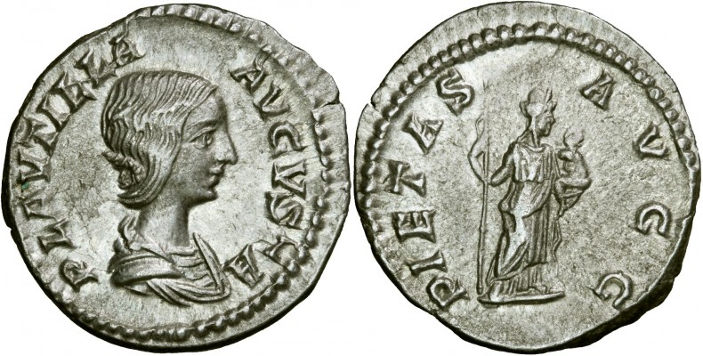 Plautilla_03.jpg