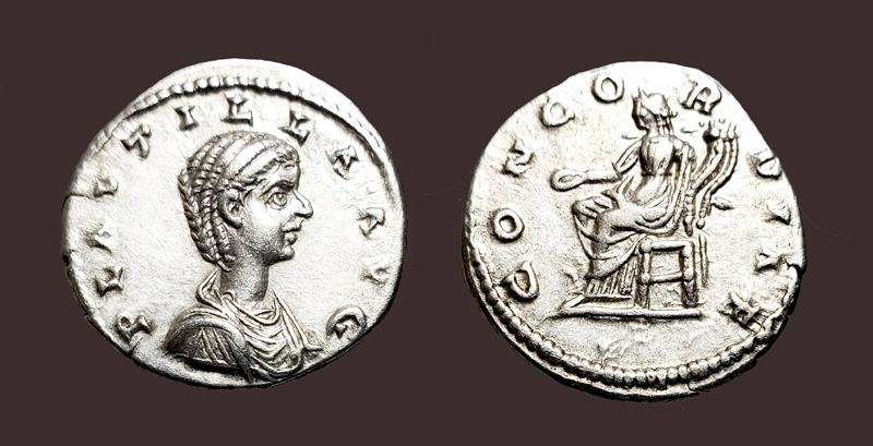 PlautillaDenConcordia.jpg
