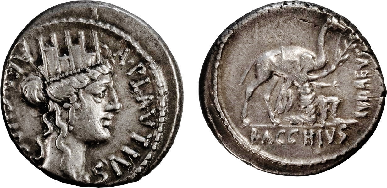 Plautius-Camel jpg versioin.jpg
