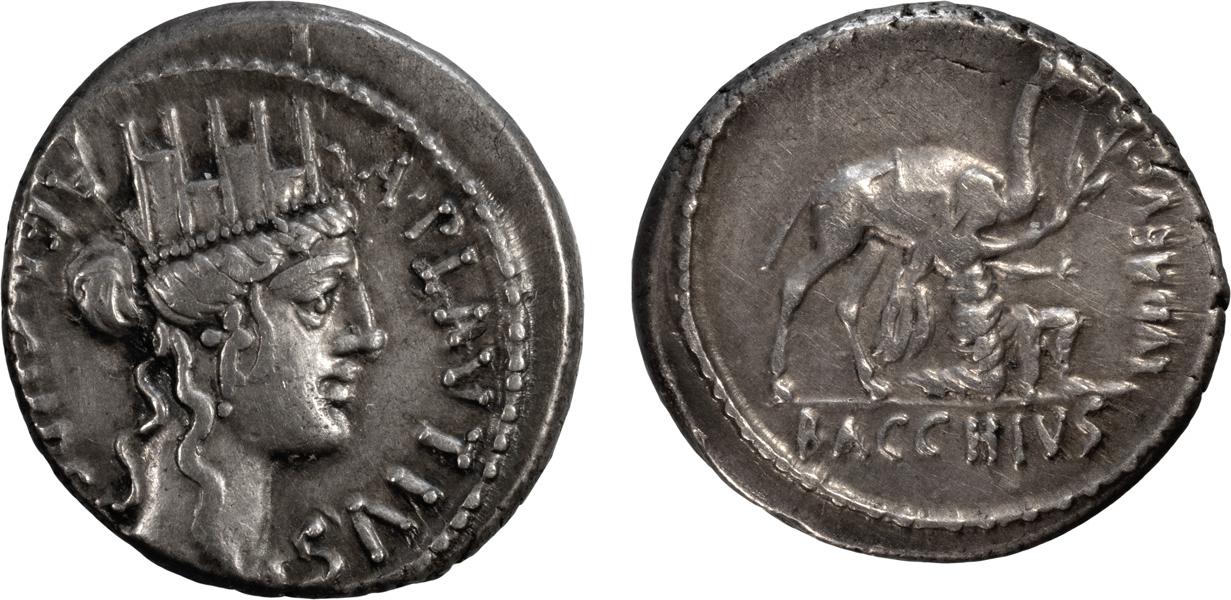 Plautius (Cybele-Camel).jpg