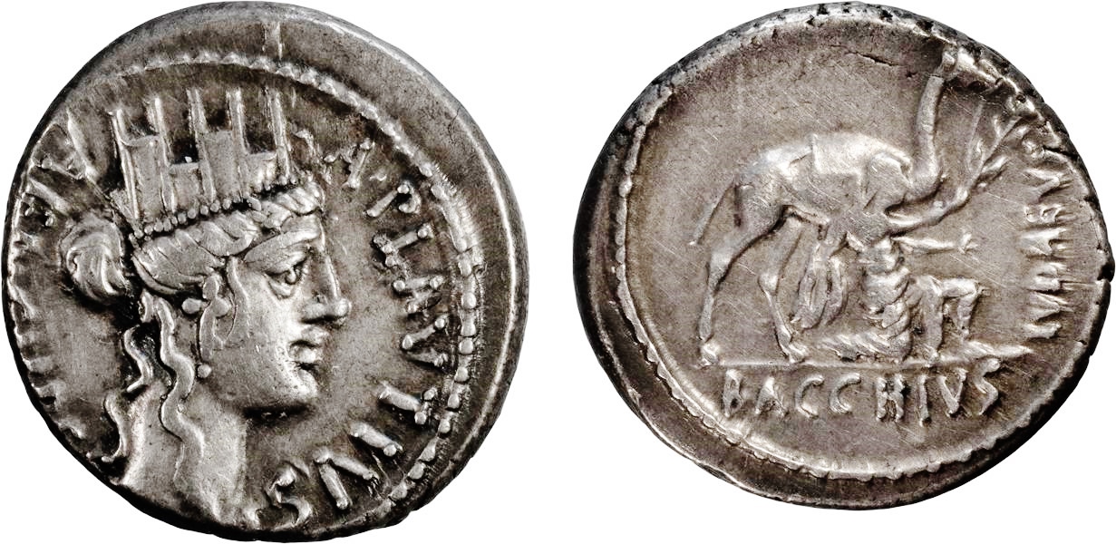 Plautius (Cybele-Camel).jpg