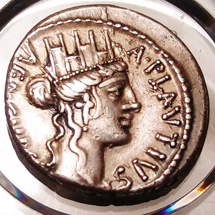 Plautius (Cybele-Camel) Obv 1.jpg