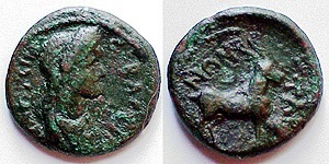 Plotina Tabae.jpg