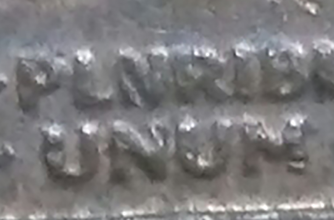 pluribus.jpg