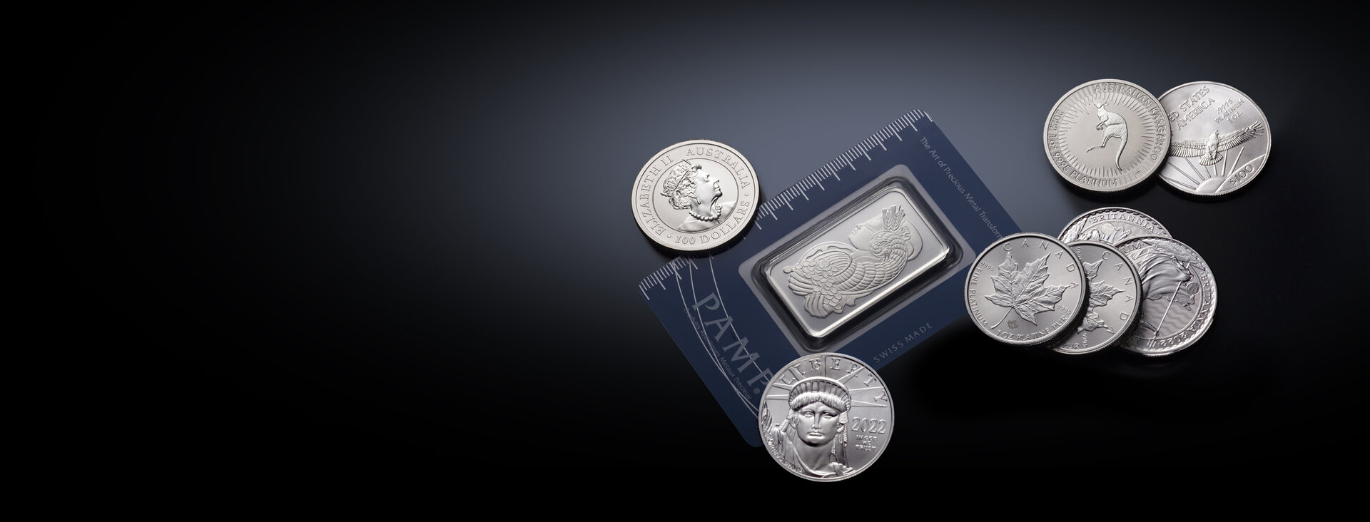 PMX-Platinum Page Header-Ver1-2500x966.jpg
