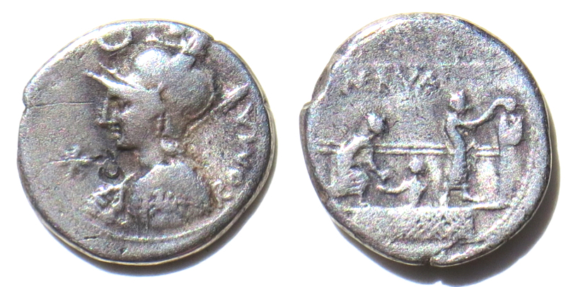 PNERVACr292s1.jpg