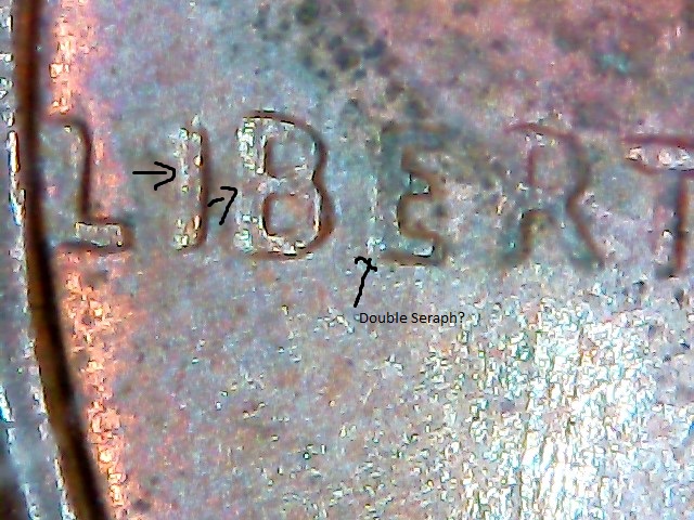 Pointing LIBERT.jpg