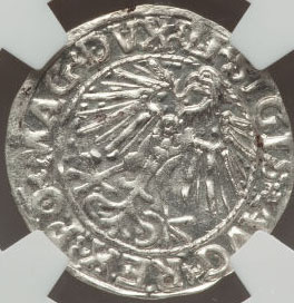 Pol154804.jpg