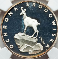 Pol197903.jpg