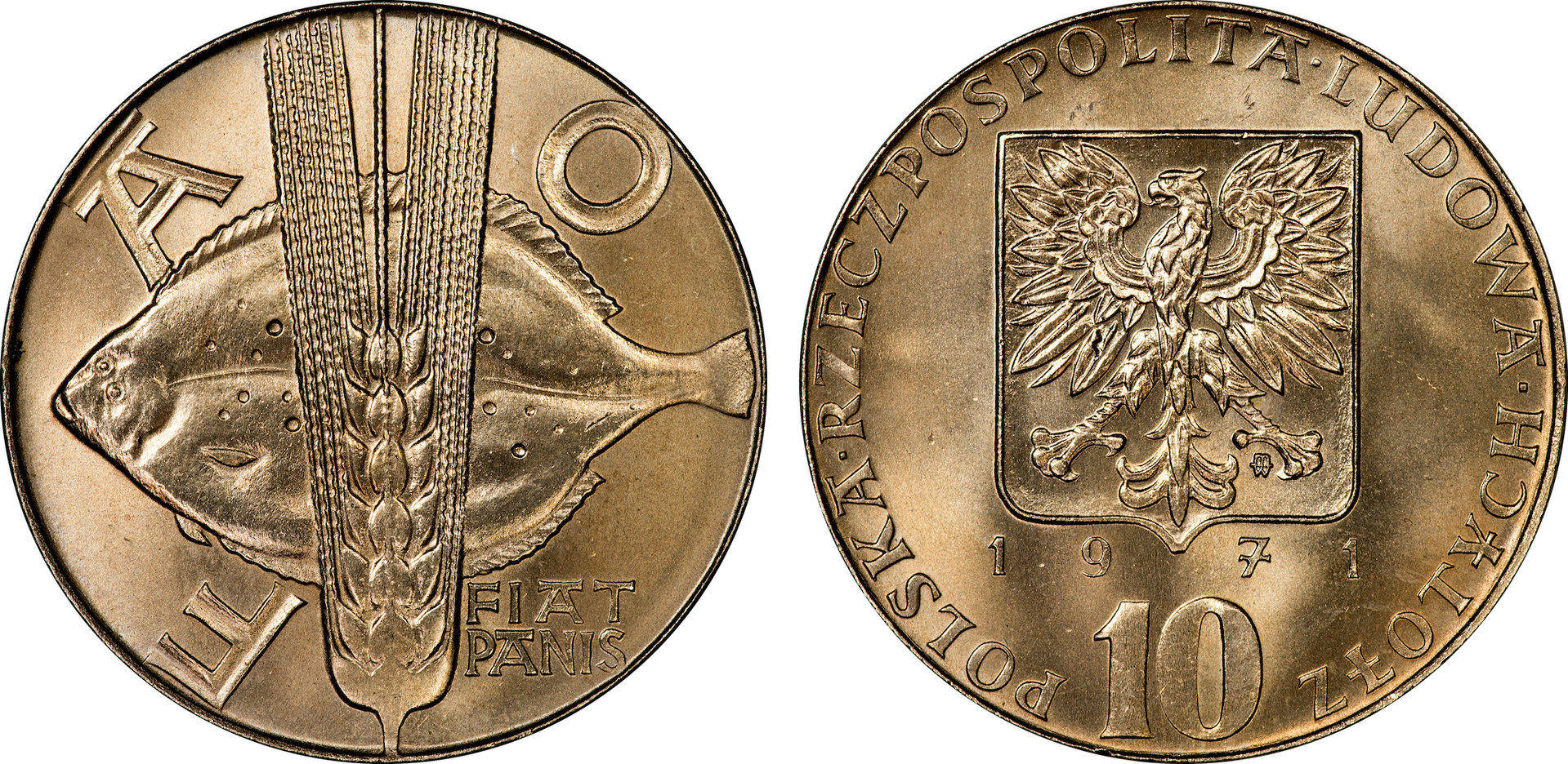 Poland - 1971 MW 10 Zlotych (Atlantic Turbot).jpg