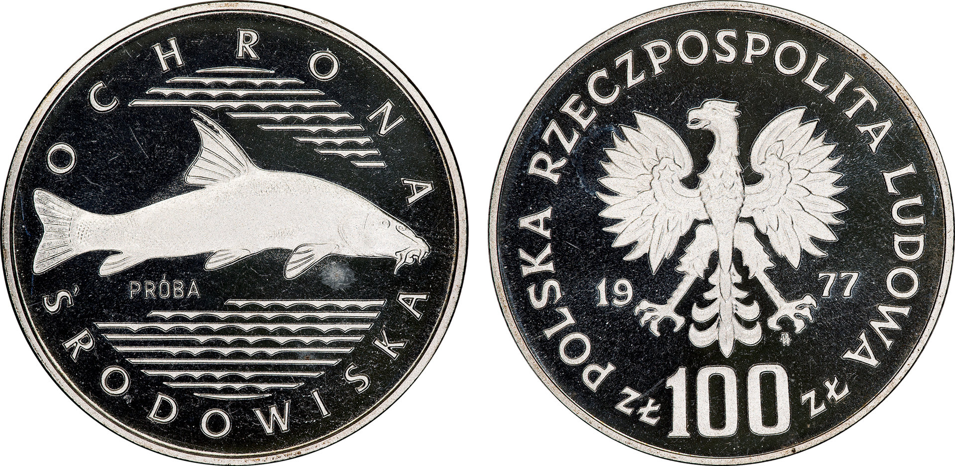 Poland - 1977 Proba Proof 100 Zlotych (Fish - Pr305).jpg