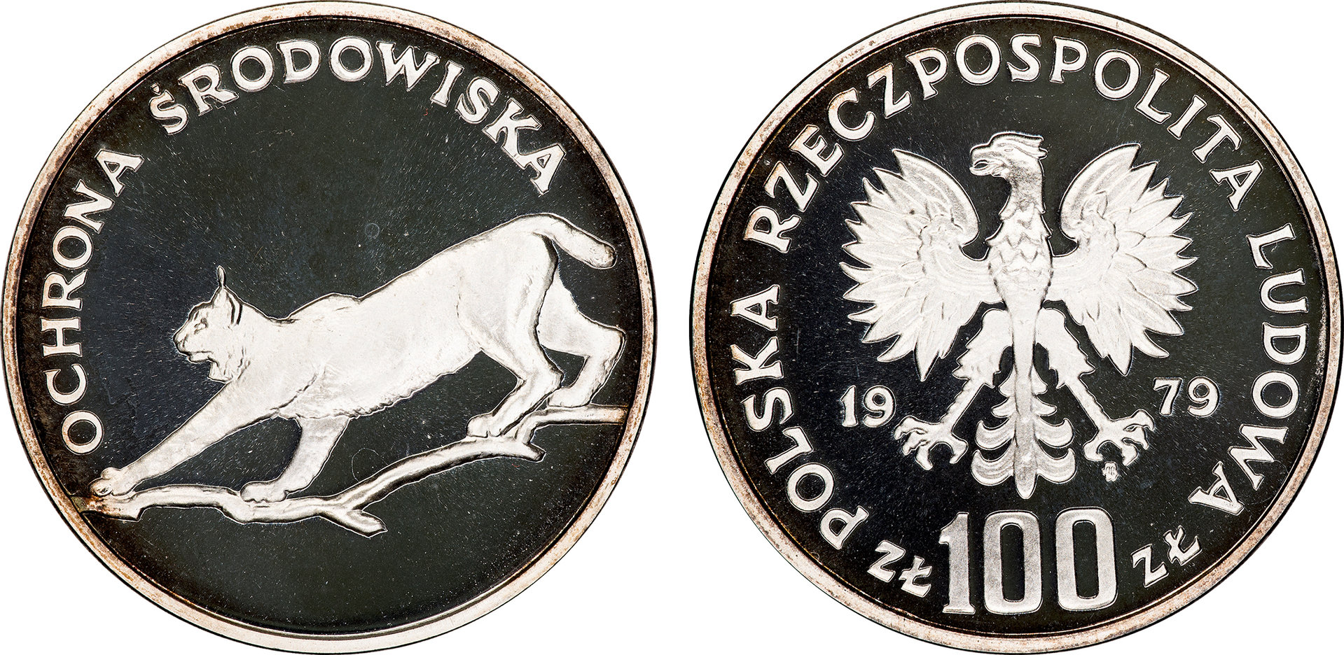 Poland - 1979 Proof 100 Zlotych (Lynx - Y104).jpg