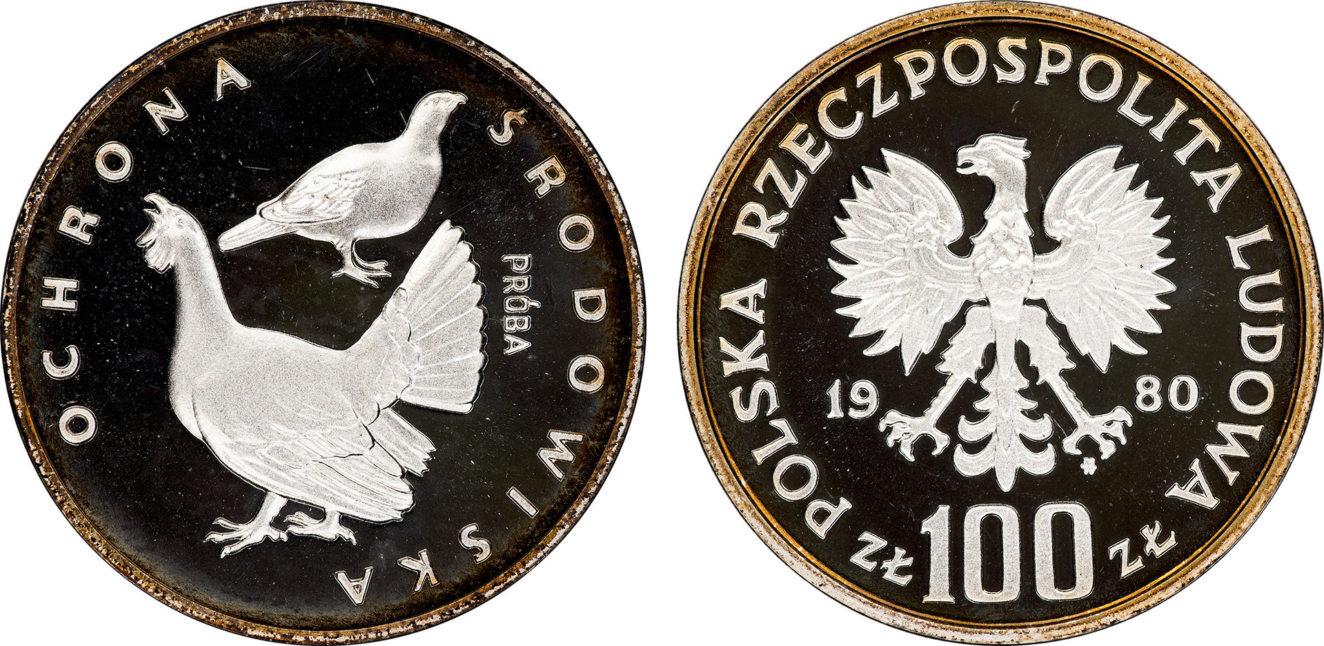 Poland - 1980 Proba Proof 100 Zlotych (Birds - Pr399).jpg