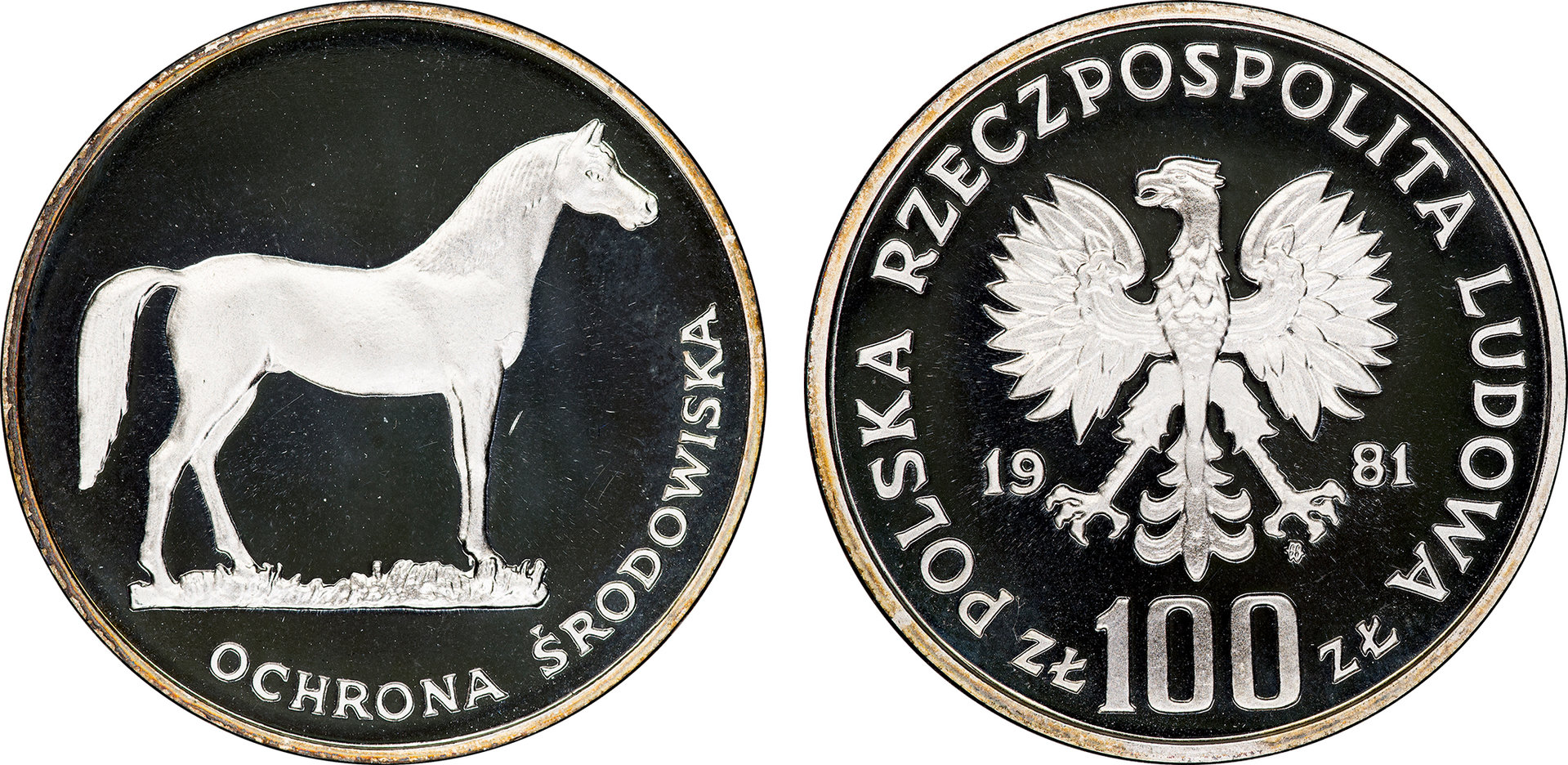 Poland - 1981 Proba Proof 100 Zlotych (Horse - Y126).jpg