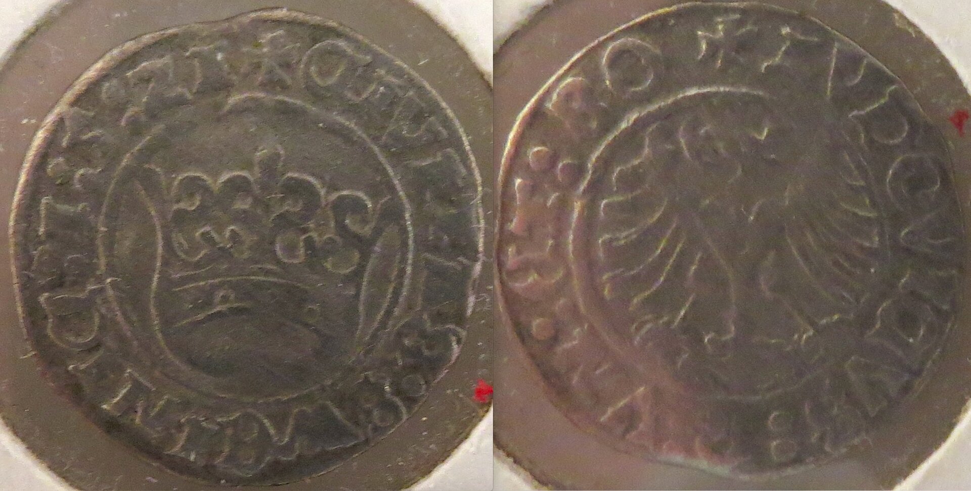 Poland city of Schweidnitz 1:2 groschen Louis II 1521 copy.jpeg