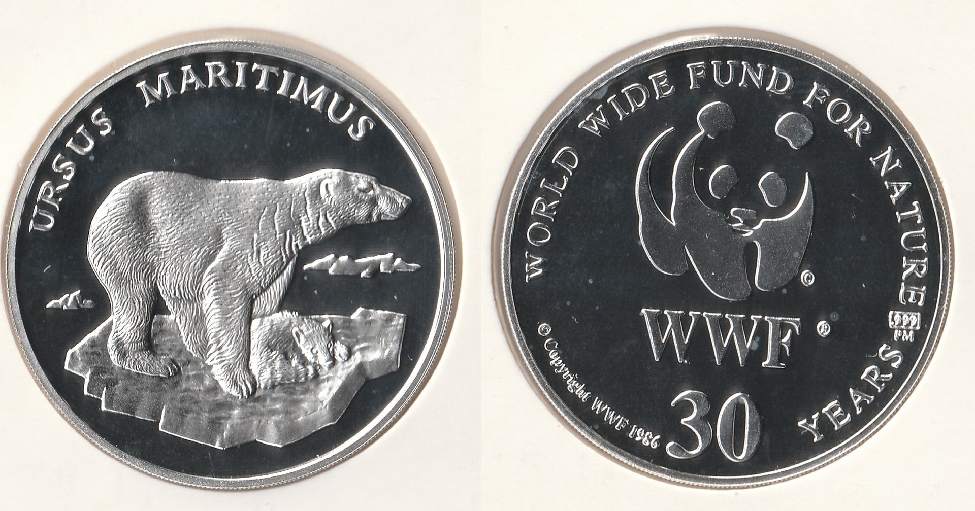 polar bear wwf.jpg
