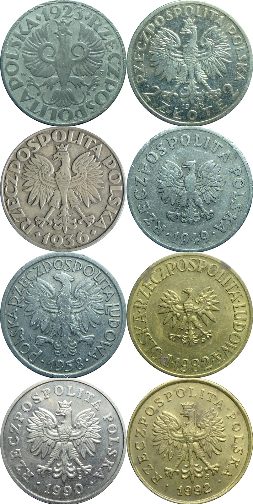 Polish Eagles.jpg