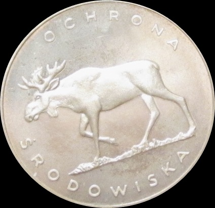 Polish Moose.JPG