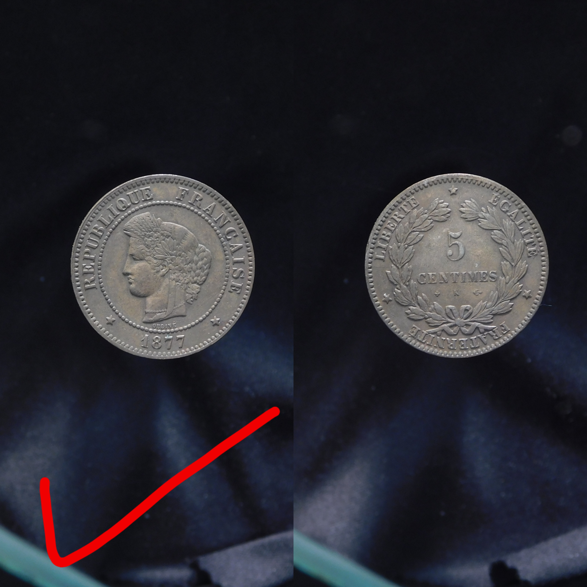 Polish_20191221_062249060.jpg