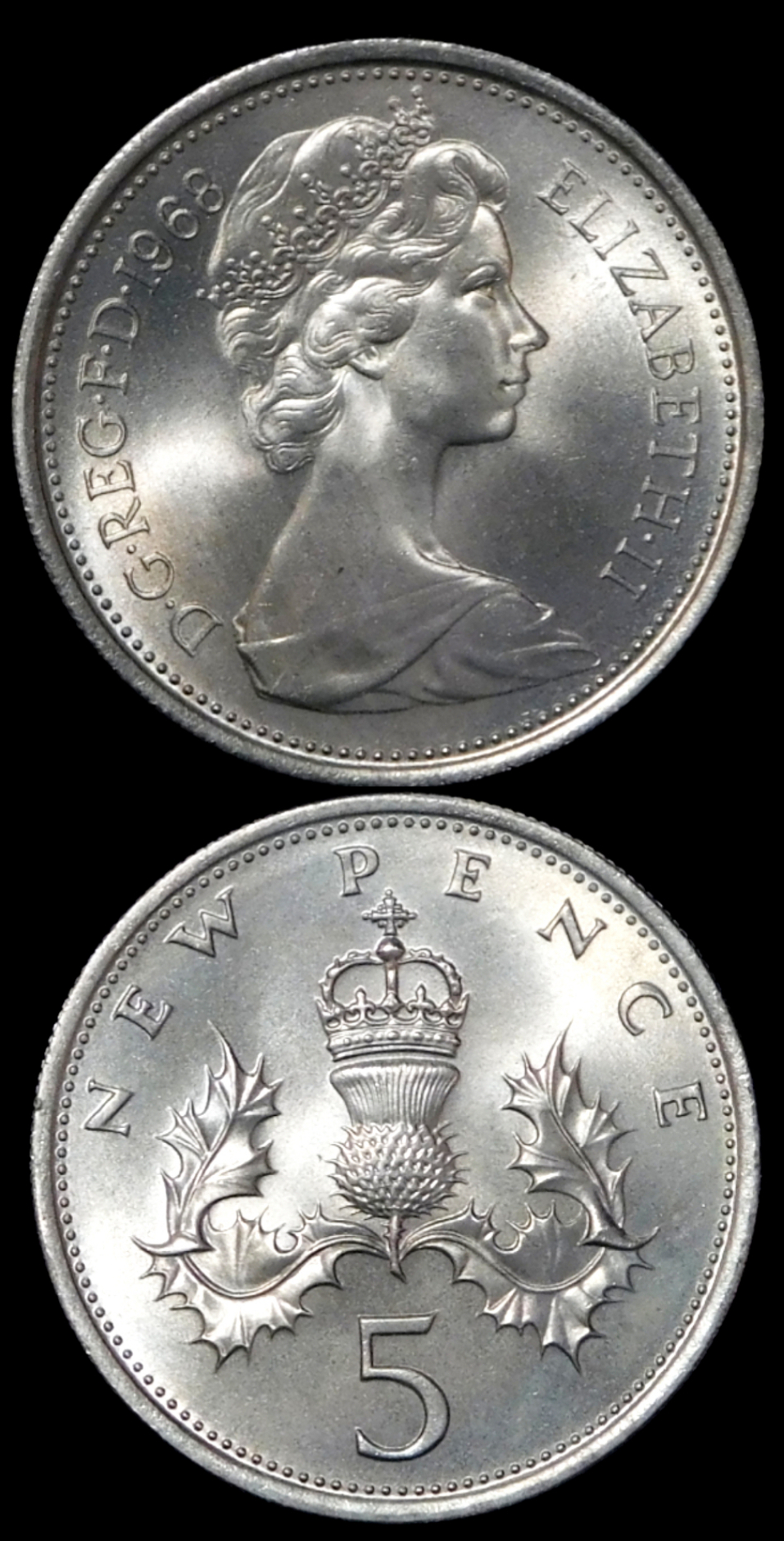 Polish_20201220_171120875.jpg