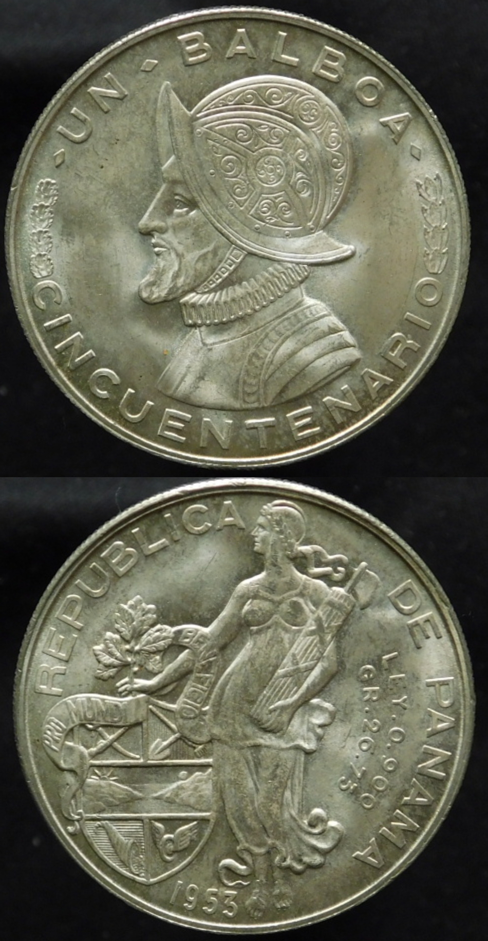 Polish_20210101_221238917.jpg