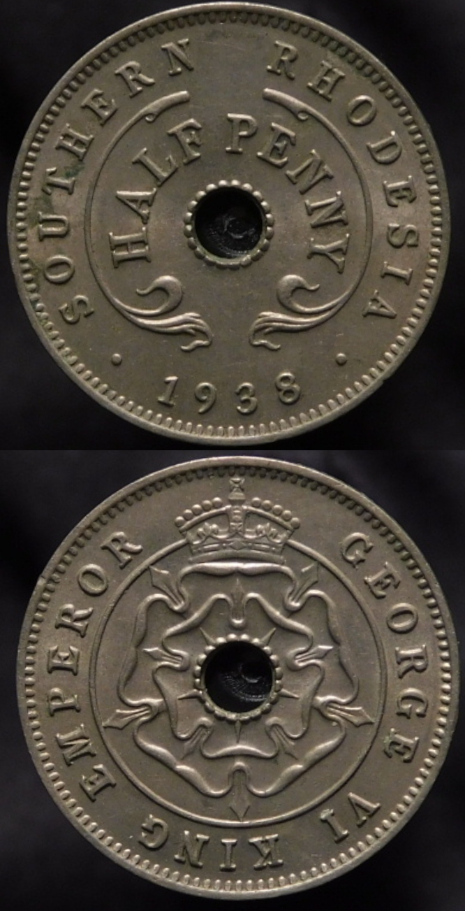 Polish_20210126_194437657.jpg