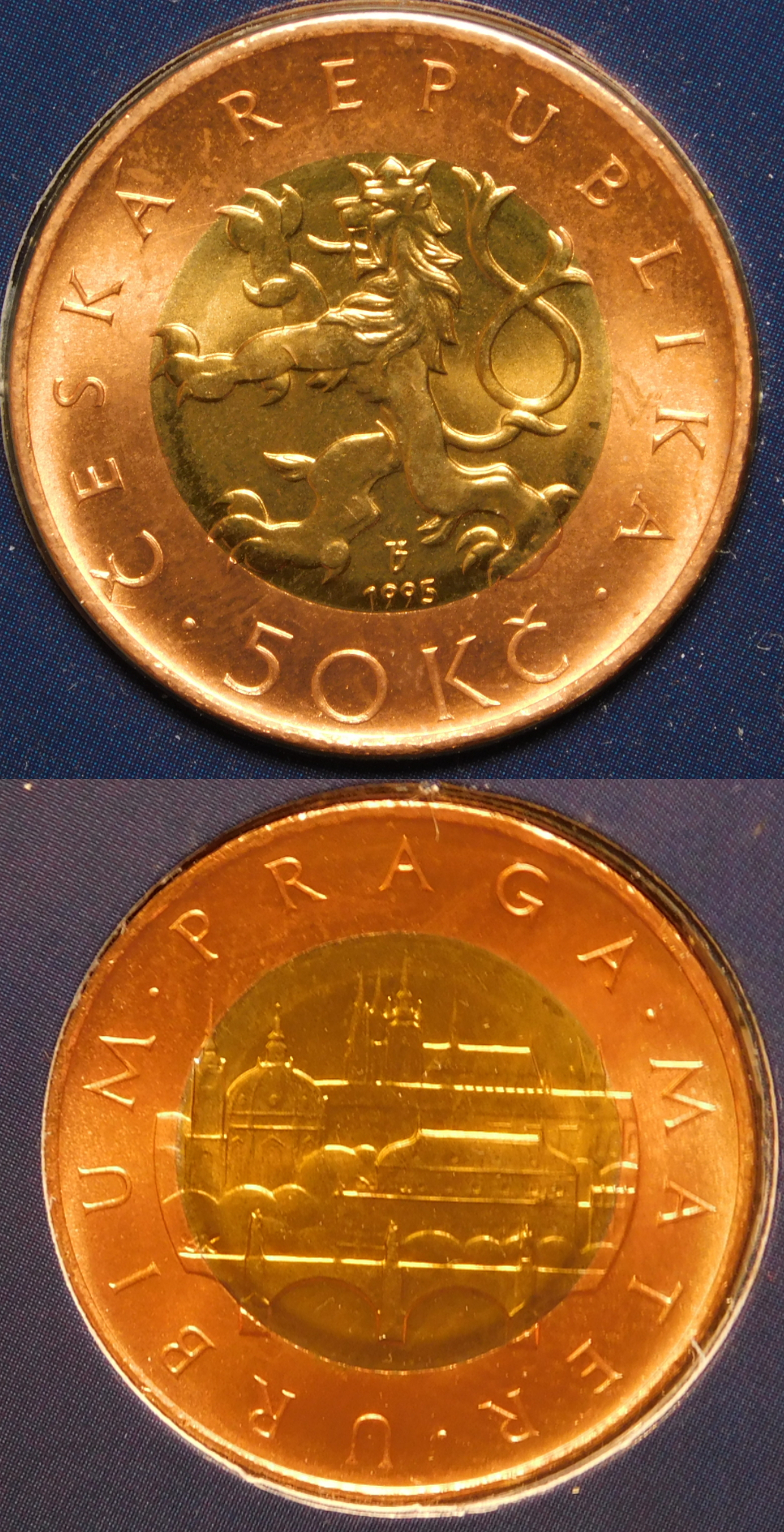 Polish_20210208_212331002.jpg