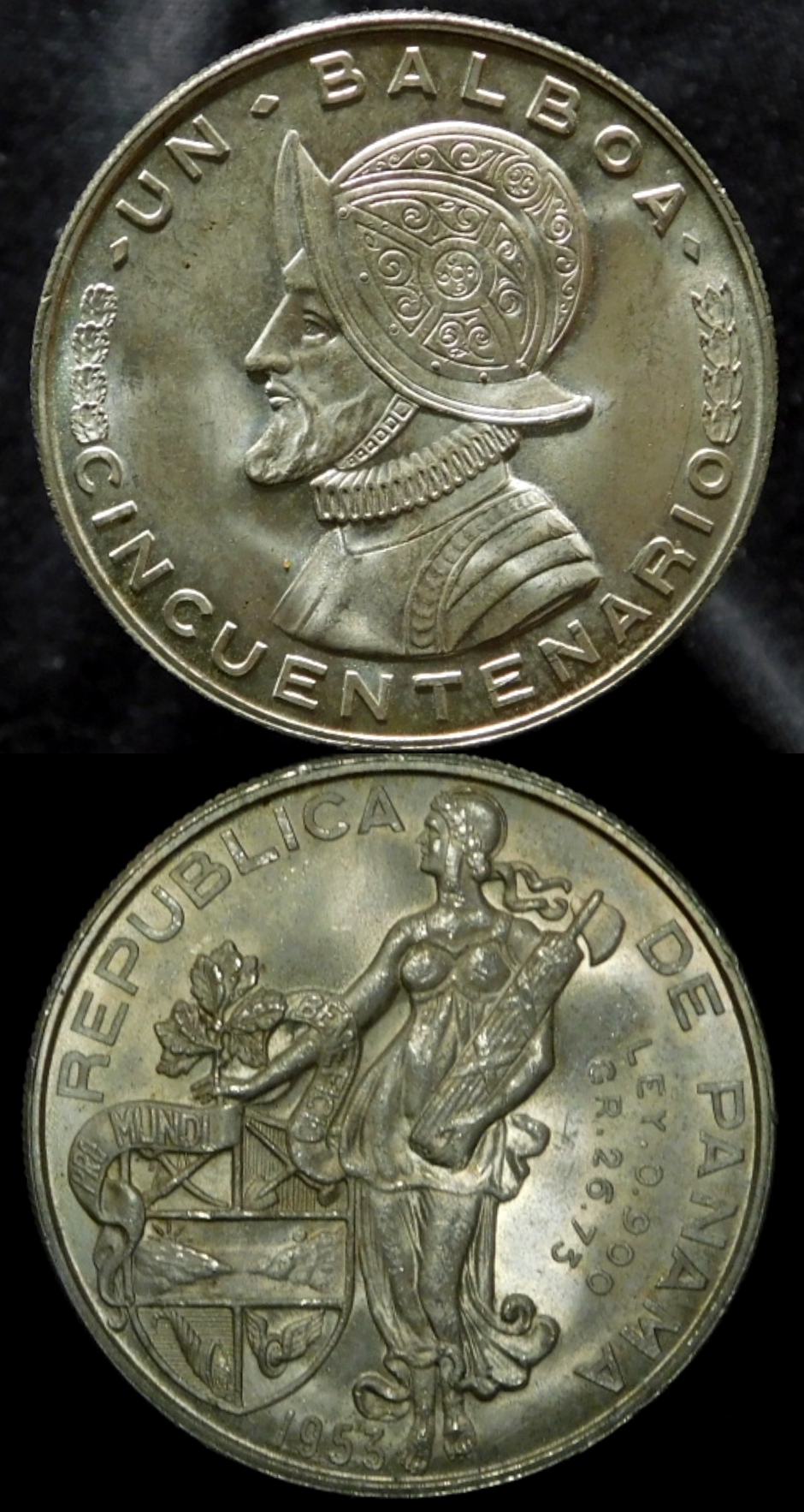 Polish_20210222_194449044.jpg