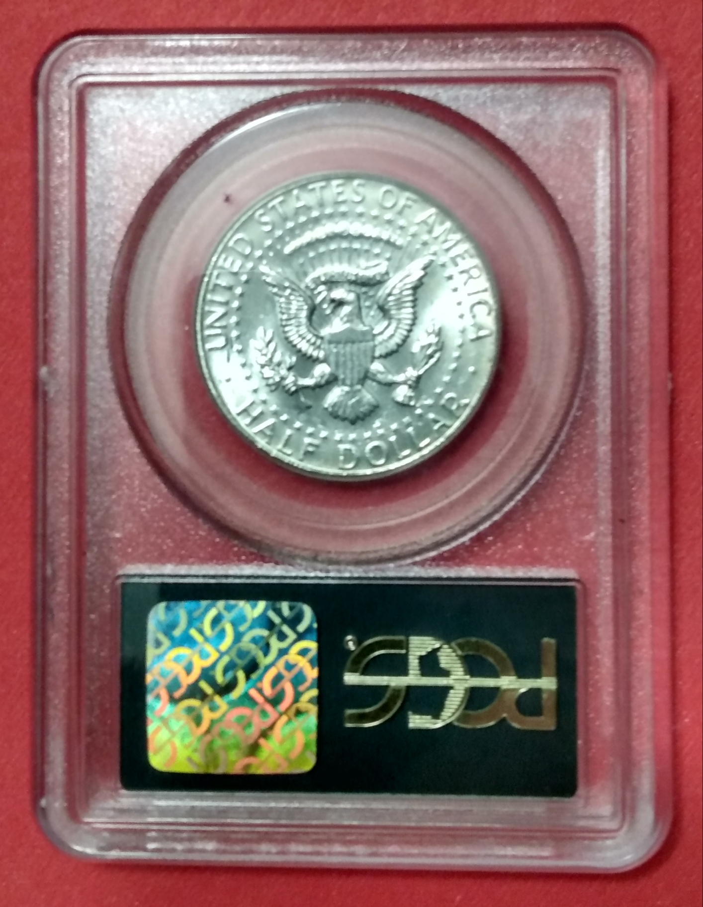 Polish_20211204_221217434.jpg
